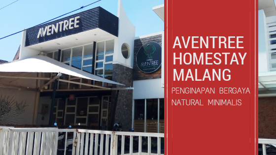 Aventree Homestay Malang : Penginapan Bergaya Natural Minimalis